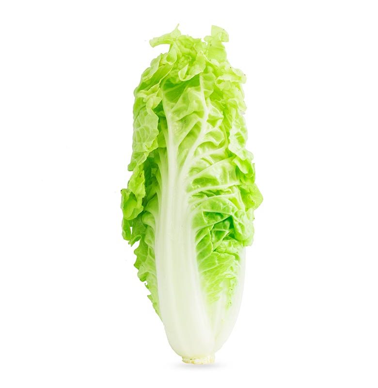 Cabbage