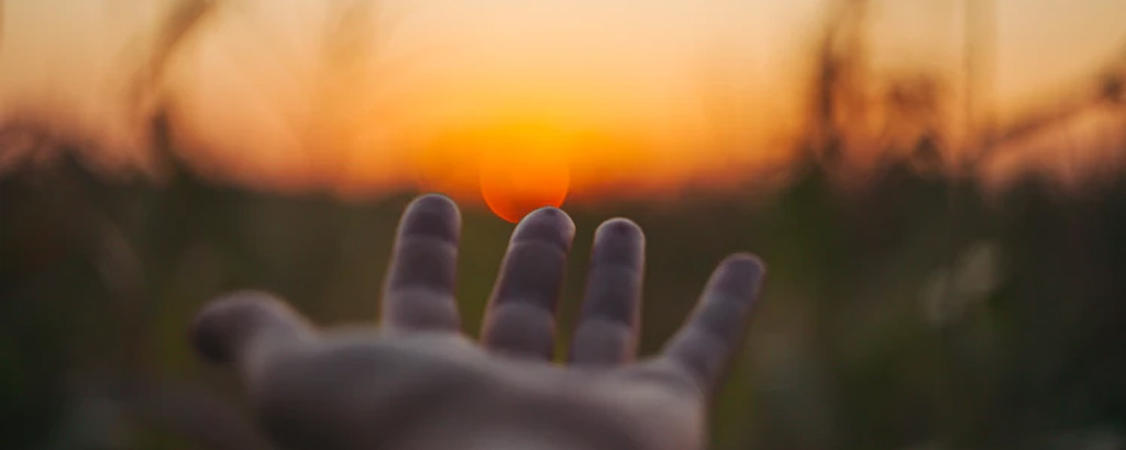 ser2-banner
